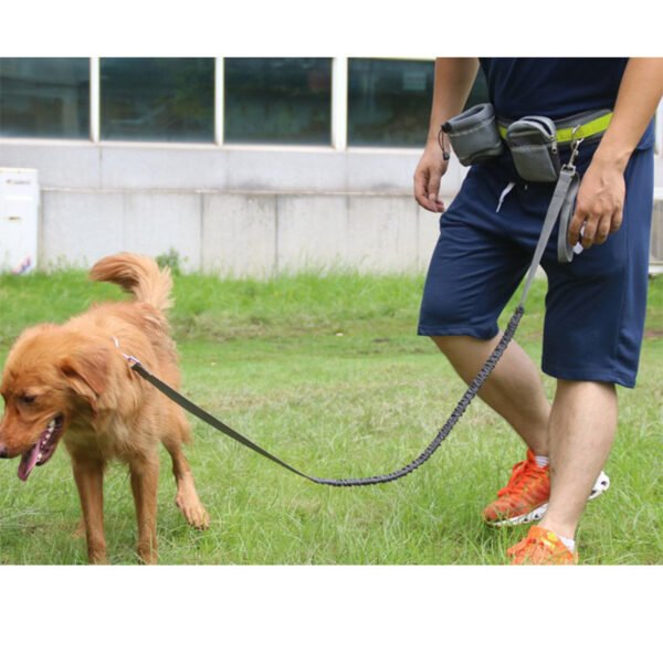 Adjustable Hands Free Dog Leash - Image 9