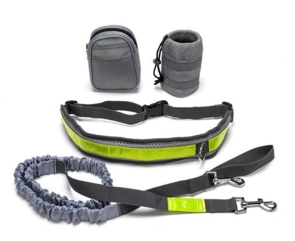 Adjustable Hands Free Dog Leash - Image 5