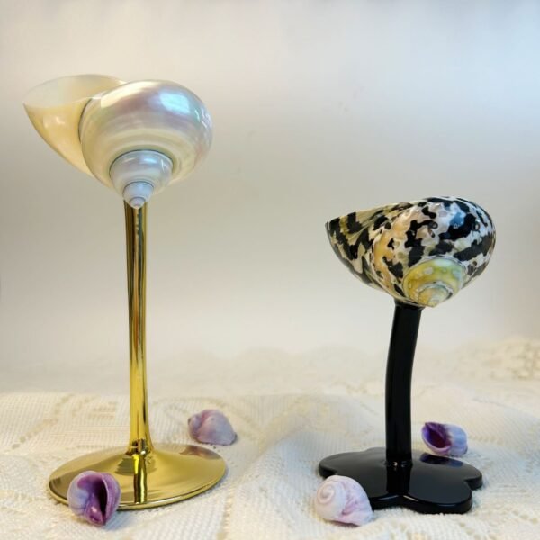 Ins Handmade Shell Conch Wine Glass Aromatherapy Dish - Image 6