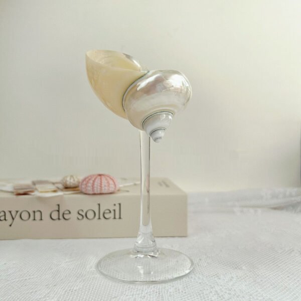 Ins Handmade Shell Conch Wine Glass Aromatherapy Dish - Image 3